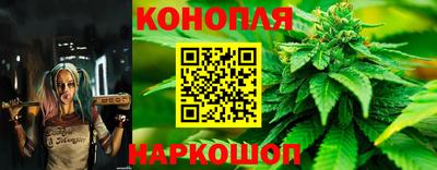 шишки Пенза