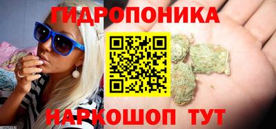 шишки Пенза