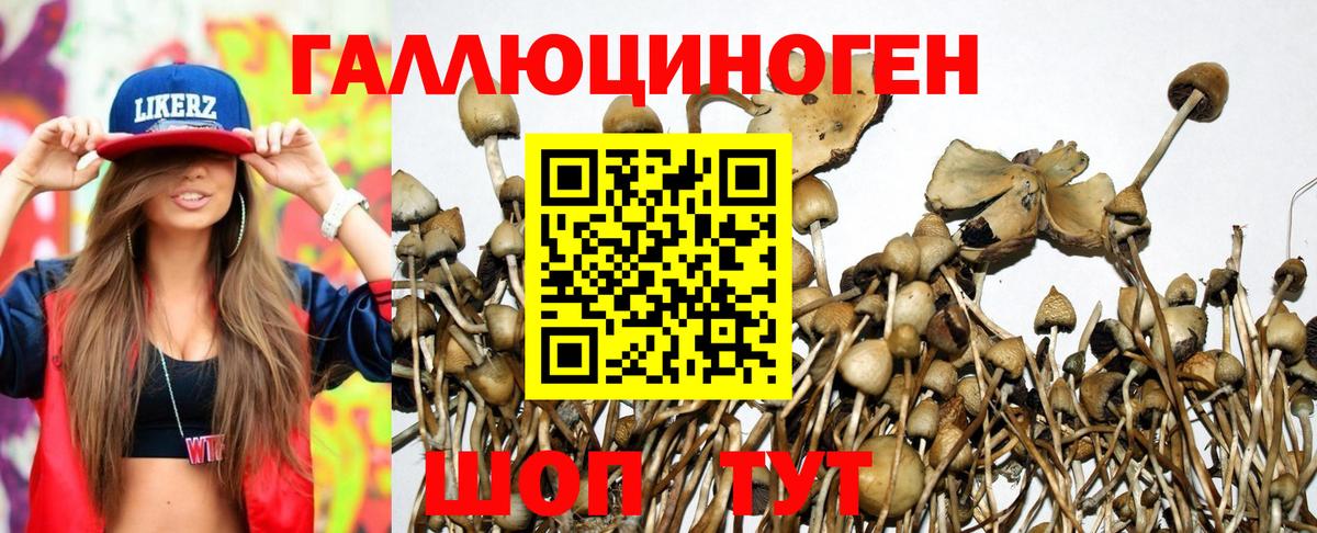 наркота  Псилоцибиновые грибы Cubensis  Вход с VPN  Псилоцибиновые грибы мицелий  Семёнов 