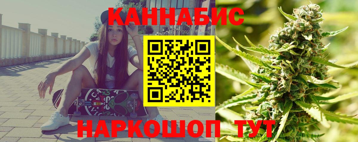 Конопля сатива Семёнов